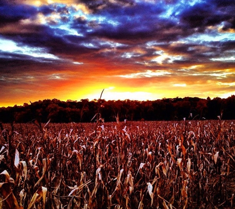 Wilcox Farms - Boyertown, PA