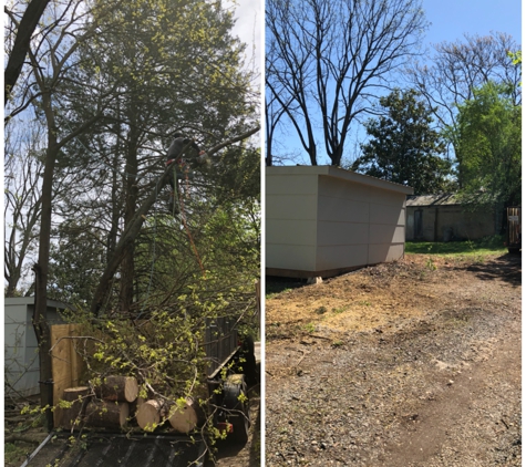 Sandoval\u2019s Tree Service and Landscaping - Louisa, VA