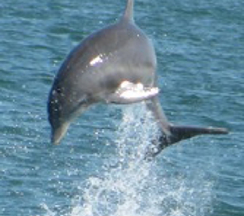 Island Cruises - Chincoteague Island, VA