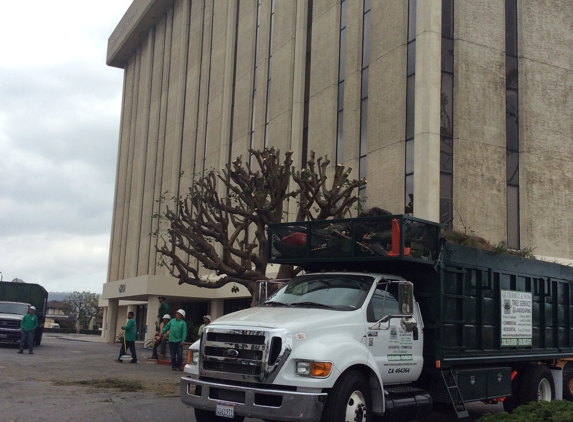 Gutierrez and Son's Tree Service and Landscaping