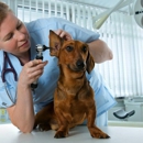 Fountain Creek Veterinary Clinic LLC - Pet Services