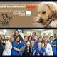 Towne South Animal Hospital