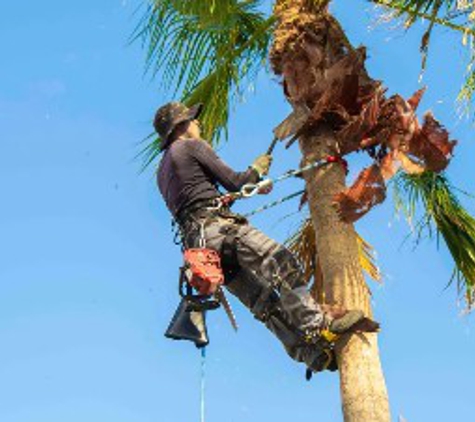 Dale's Tree Service