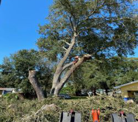 All Weather Tree Service - Mulberry, FL