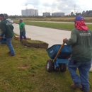 Mata-Turf, Inc. - Sod & Sodding Service