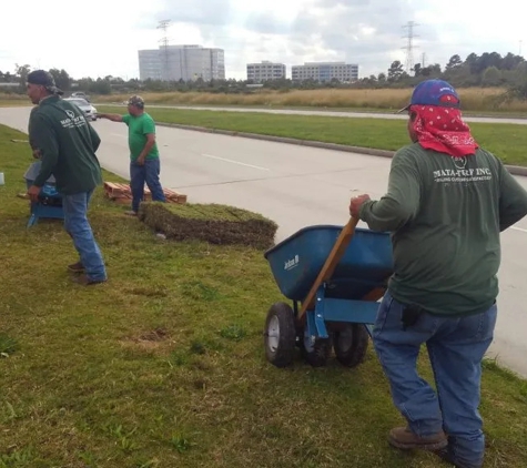 Mata-Turf, Inc. - Houston, TX