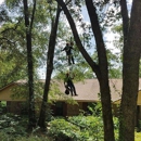 A Cut Above Tree Care, Inc. - Arborists