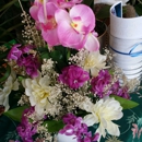 All Occasions Flowers - Florists