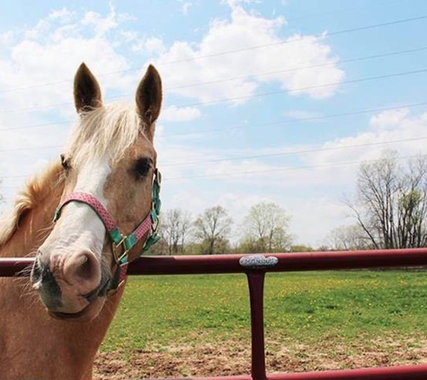 Hidden View Farm LLC - Mequon, WI