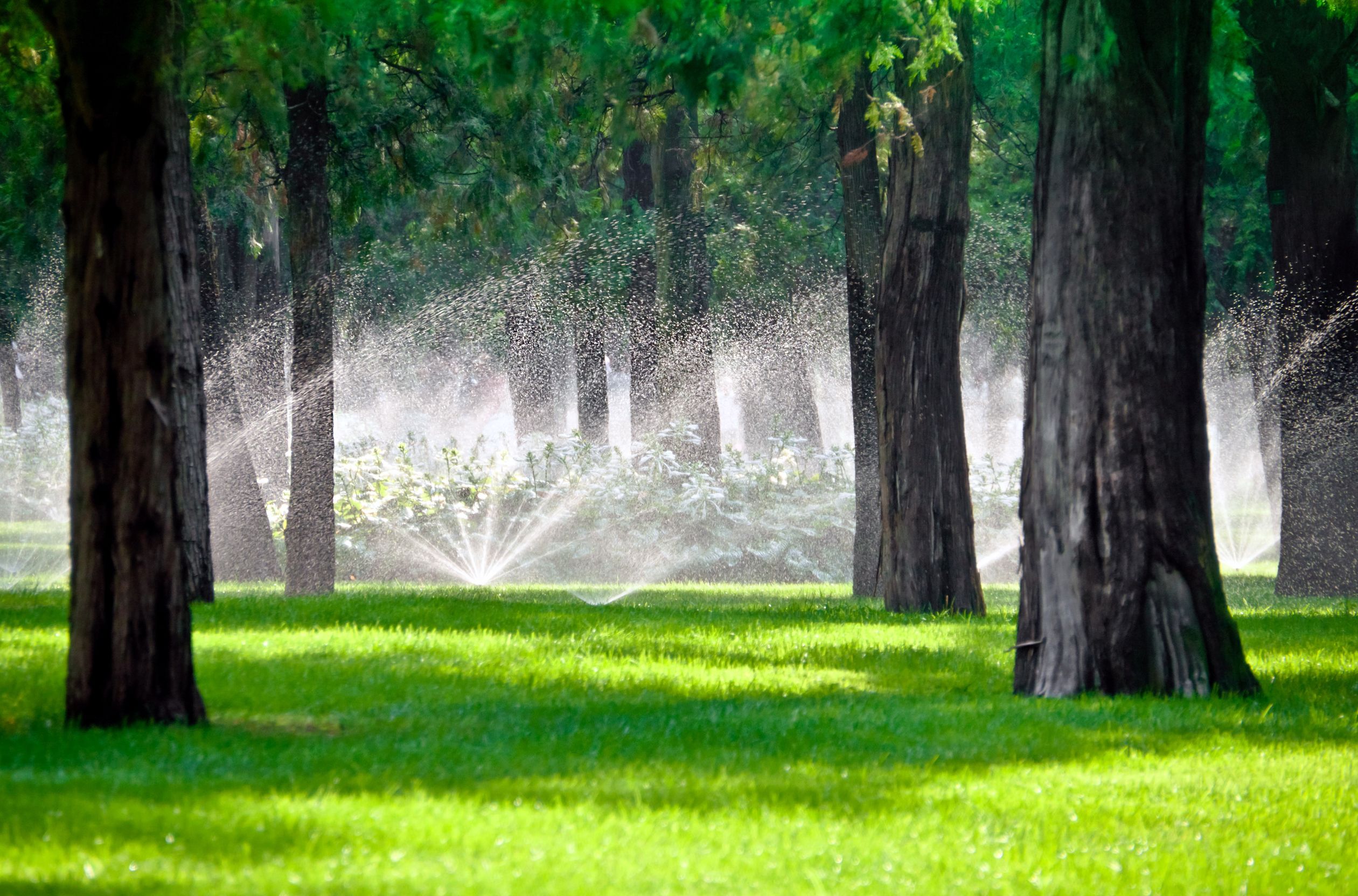 Hampton Roads Irrigation Landscape 2413 Wolf Trap Rd Yorktown Va 23692 Yp Com