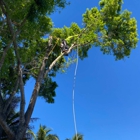 Affordable Tree Service Inc. - Tree Service Miami-Dade & Broward