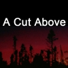 A Cut Above Tree Service gallery