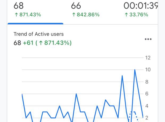 IdeaFusion Media - Southport, QLD. 1 Month Report for my new website