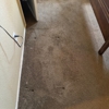 Mansfield Carpet Cleaning & Restoration gallery