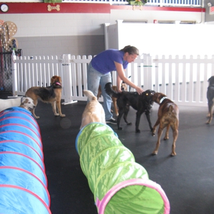 GoodFellas Doggy Daycare - Saugus, MA