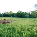 Ellsworth Hummingbird Hide Away Cottage - Lodging