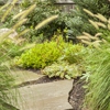 Terrascapes Landscape Design gallery