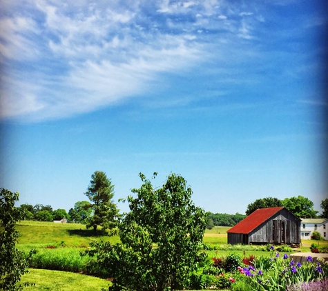 Early Mountain Vineyards - Madison, VA