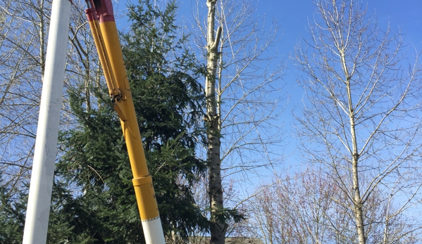 Rose Tree Service & Vegetation Management - Springfield, OR