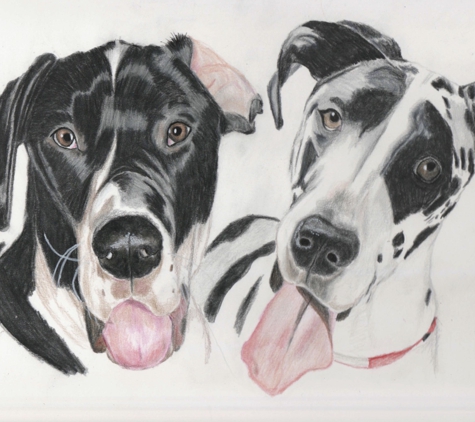 Pet Portraits by Rebecca - Hudson, FL