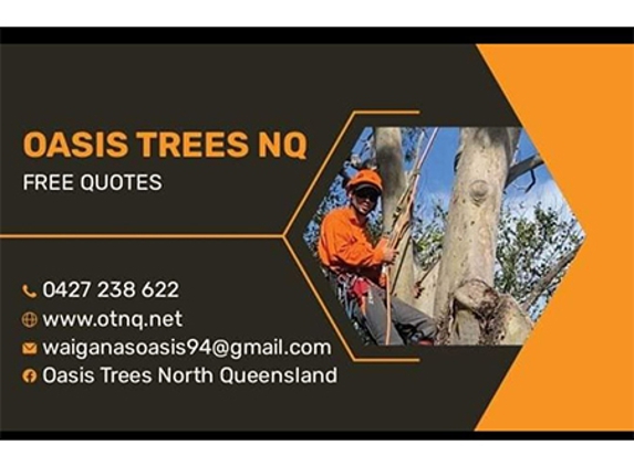 OASIS TREES NORTH QUEENSLAND