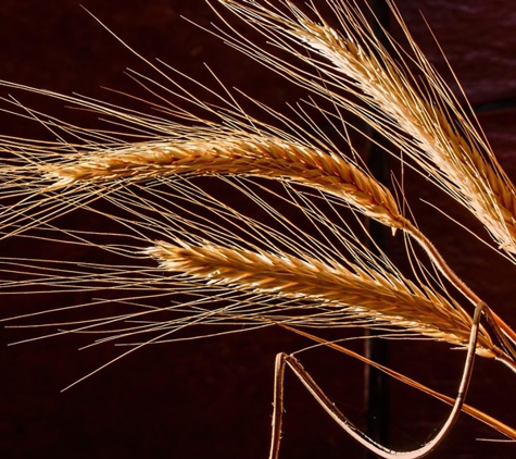 Stewarts Grain Trading - Inverell, NSW