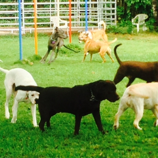 Happy Tails Pet Resort - Miami, FL