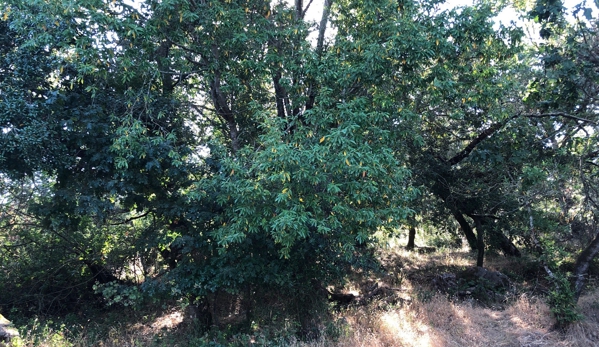 Edge at Howarth Park Apartments - Santa Rosa, CA