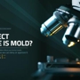 O2 Mold Testing of Fort Lauderdale