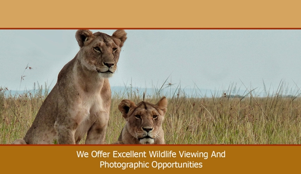 Gippsland Travel Pty Ltd - Warragul, VIC. We Offer Excellent Wildlife Viewing And Photographic Opportunities