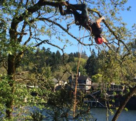 Arbor City Tree Care - Vancouver, WA