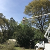 Lake City Tree Service, Call Shane gallery