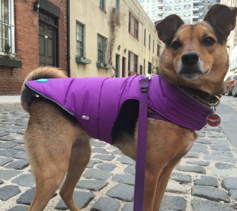 Swifto Dog Walking Chelsea - New York, NY