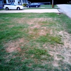 Turf Masters Lawn Care Inc