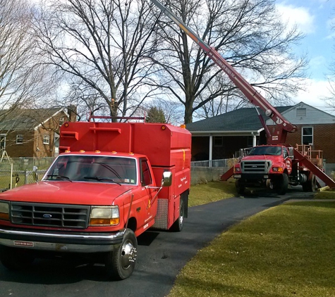 Guardian Tree Company - Charlotte, NC