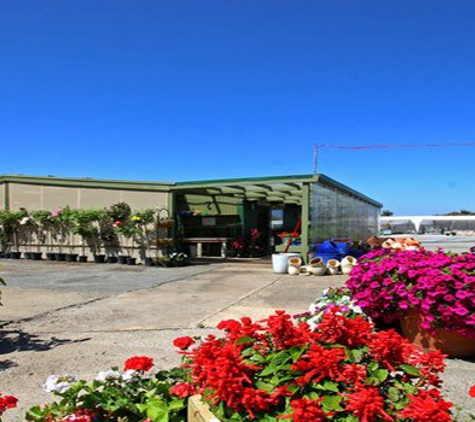 Glenvue Wholesale Nursery - Rye, VIC. Mornington Peninsula Retail Plant Nursery
