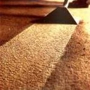 Gulf Coast Carpet Cleanings