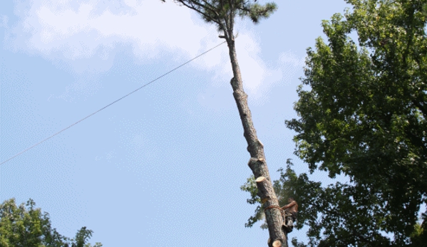 Rowlands TreeExpert - warrenville, SC