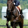 Turn Crest Equestrian Ctr gallery