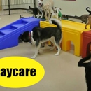 Jagger's Doggie Daycare, Dog Grooming, Boarding, & Training - Pet Boarding & Kennels