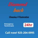 Diamondback Cleaning & Restoration - Mold Remediation