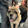 Airport Animal Emergi-Center gallery