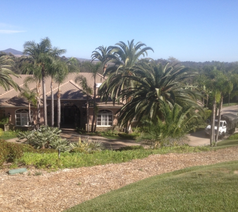 Cesareo Tree Service - Oceanside, CA