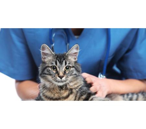 Clifton Hill Veterinary Clinic - Clifton Hill, VIC