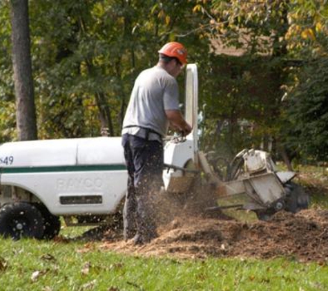 Capital City Tree Service - Little Rock, AR