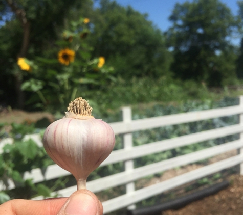 Sunnyside Farms - Redford, MI