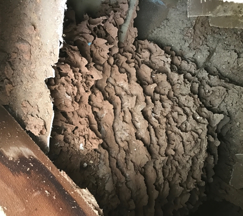 North Vic Pest Control - Swan Hill, VIC
