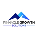 Pinnacle Growth Solutions - Internet Marketing & Advertising