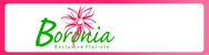 Boronia Exclusive Florists - Florists