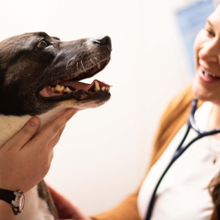 TotalBond Veterinary Hospital at Bethel - Lake Wylie, SC